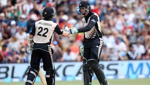 Martin Guptill & Kane Williamson