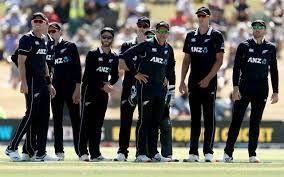 New Zealand - teams with most sixes in t20