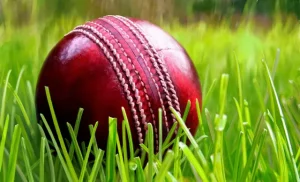 Types of Cricket balls and how they are made?