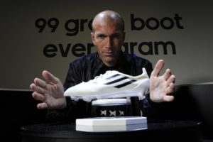 Zinedine Zidane Property and houses