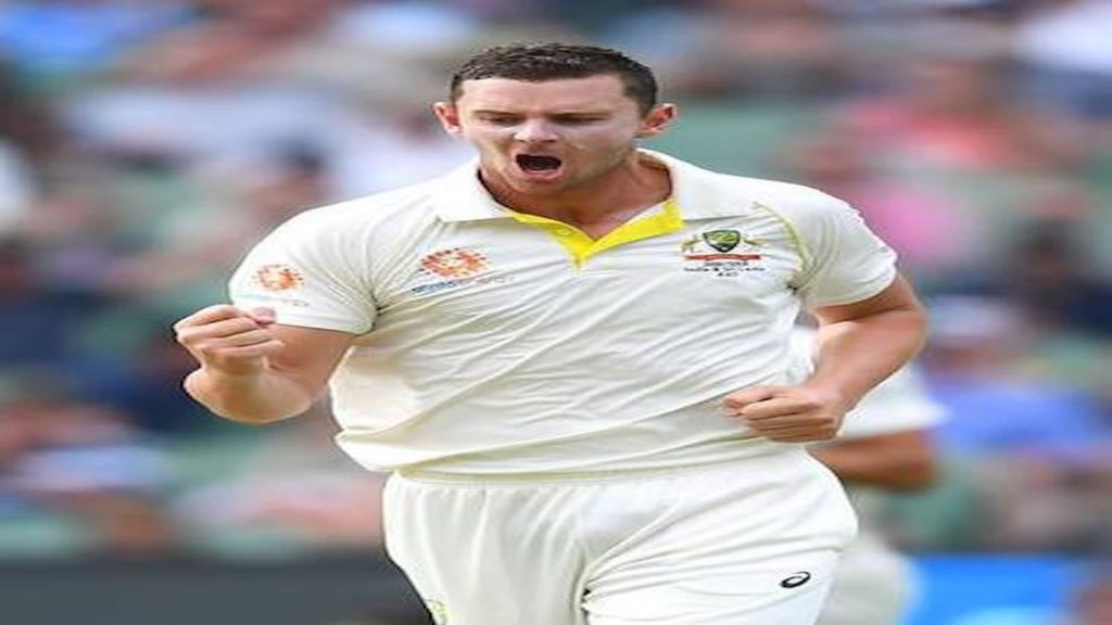 11 players lucknow should target in IPL auction, hazlewood