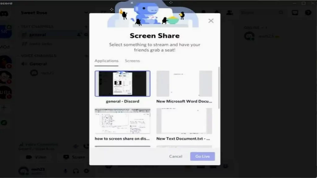 Share screen on discord