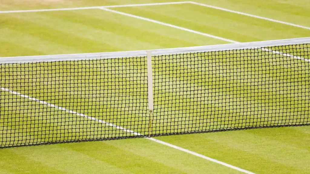 Grass Courts in tennis