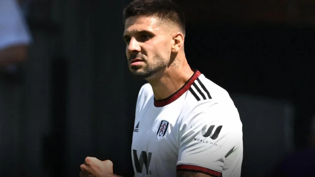 Aleksandar Mitrovic