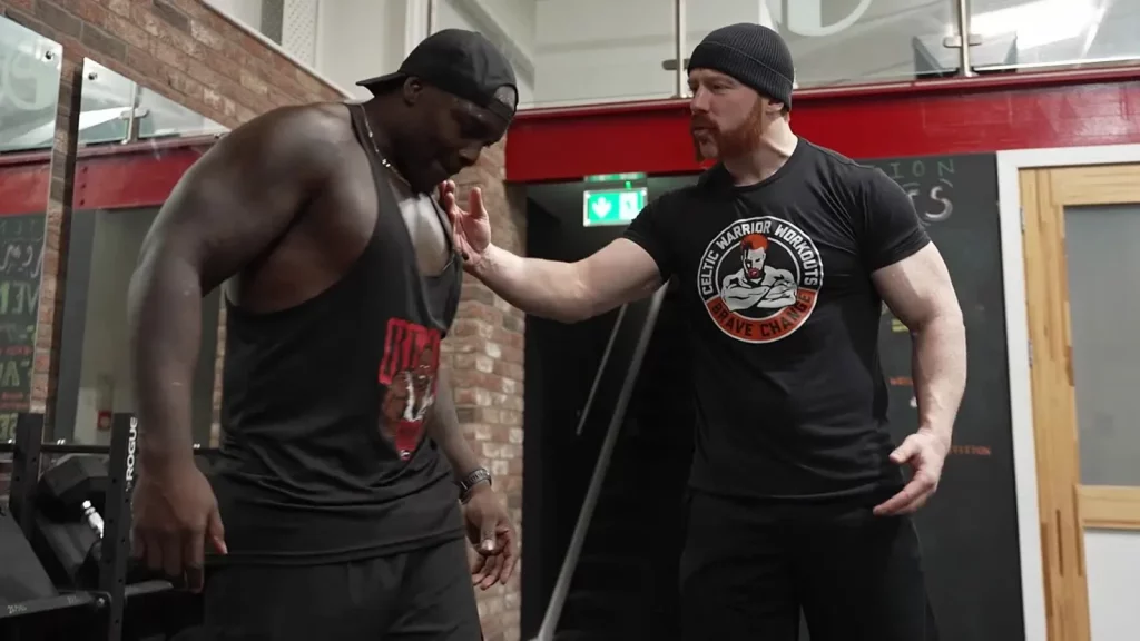 Akinfenwa Sheamus