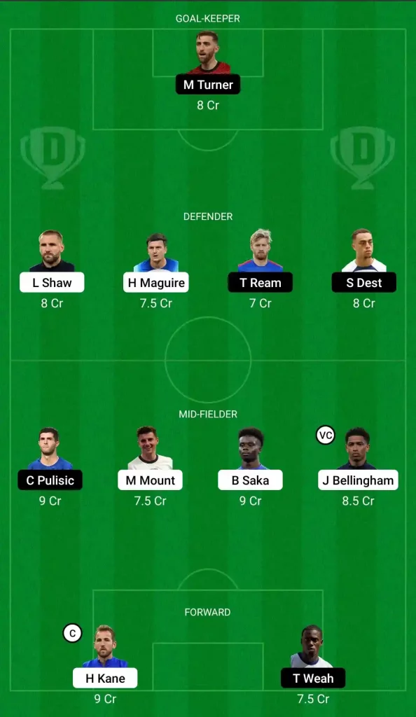 ENG vs USA: Dream 11 Fantasy Team