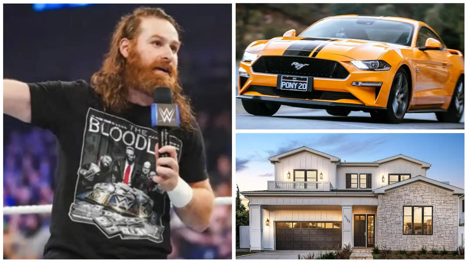 Sami Zayn Net Worth 2024, Salary, Sponsorships, Cars, Houses