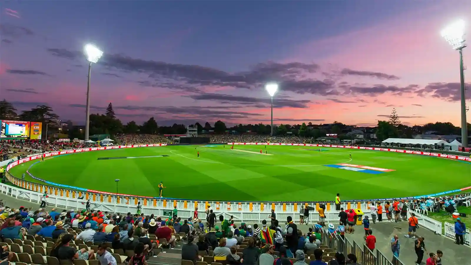 Seddon Park Stadium, Hamilton Seating Capacity, Boundary Length, Pitch