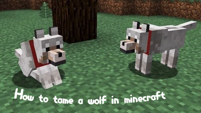 How to tame a wolf in minecraft TITLE
