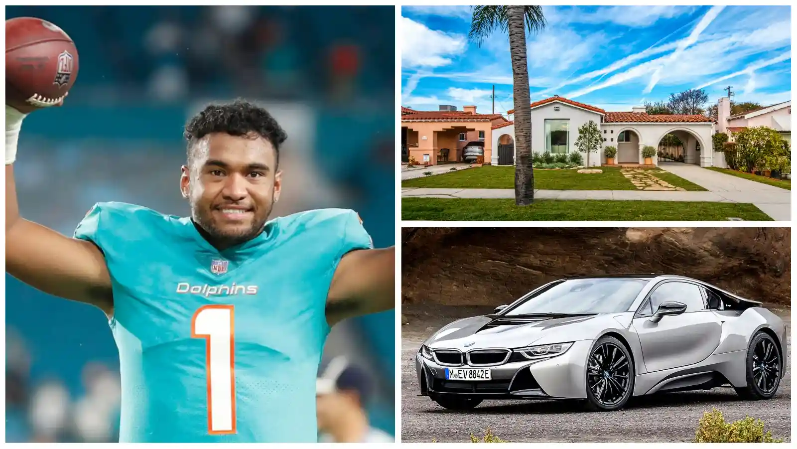 Tua Tagovailoa Net Worth 2024, Annual Endorsements, Car