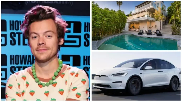Harry Styles Net Worth, Annual Income, Endorsements, Cars, Houses, Properties, Charities, Etc