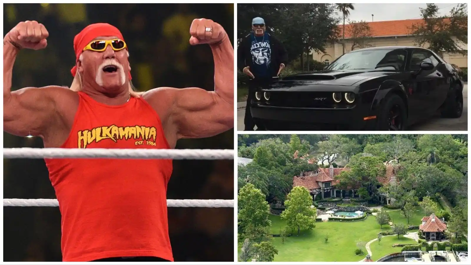 Hulk Hogan Net worth 2024, Salary, Cars, Houses, Charities, Etc.