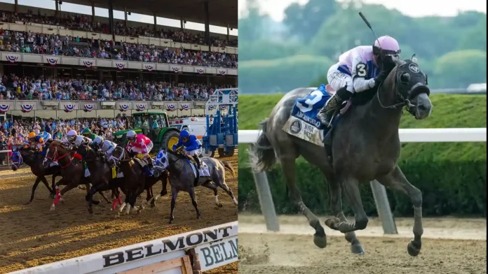 Belmont Stakes 2023 Winner and Results