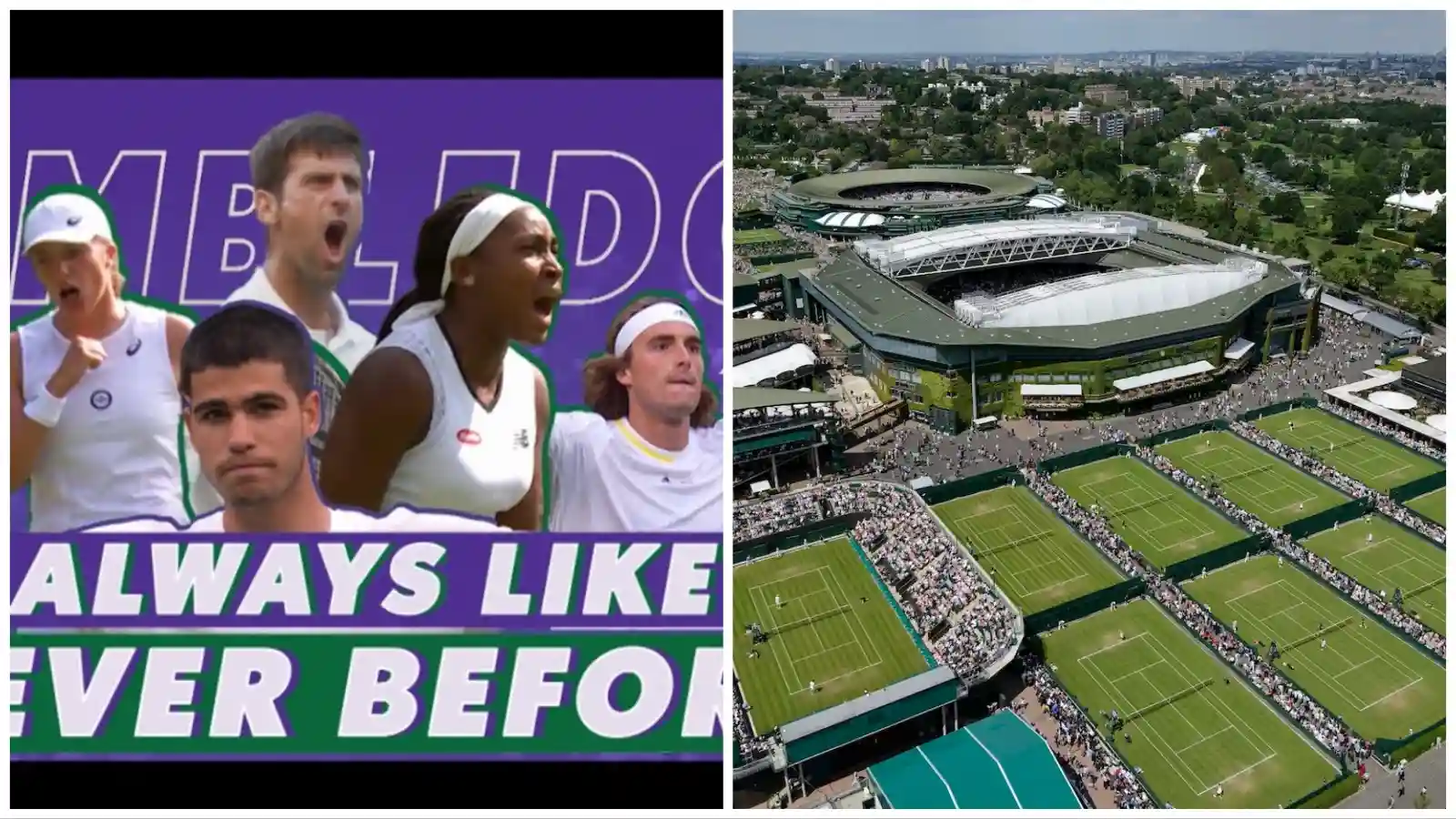 Printable Wimbledon Draw 2024 Elena Heather