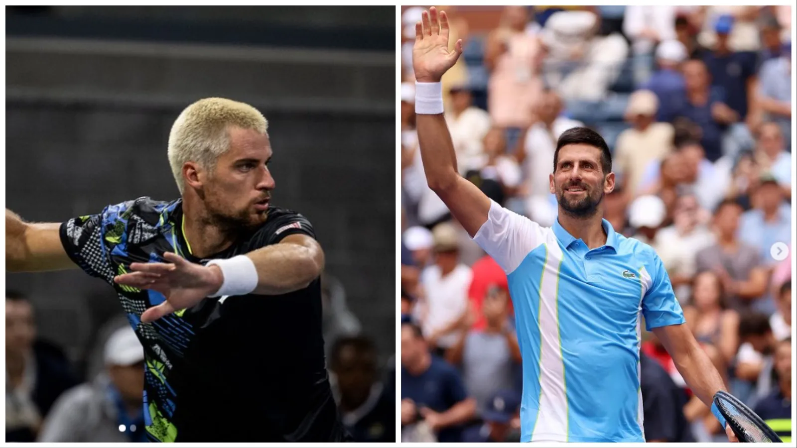 Borna Gojo vs Novak Djokovic Prediction, Head-to-Head, Stats, Previews ...