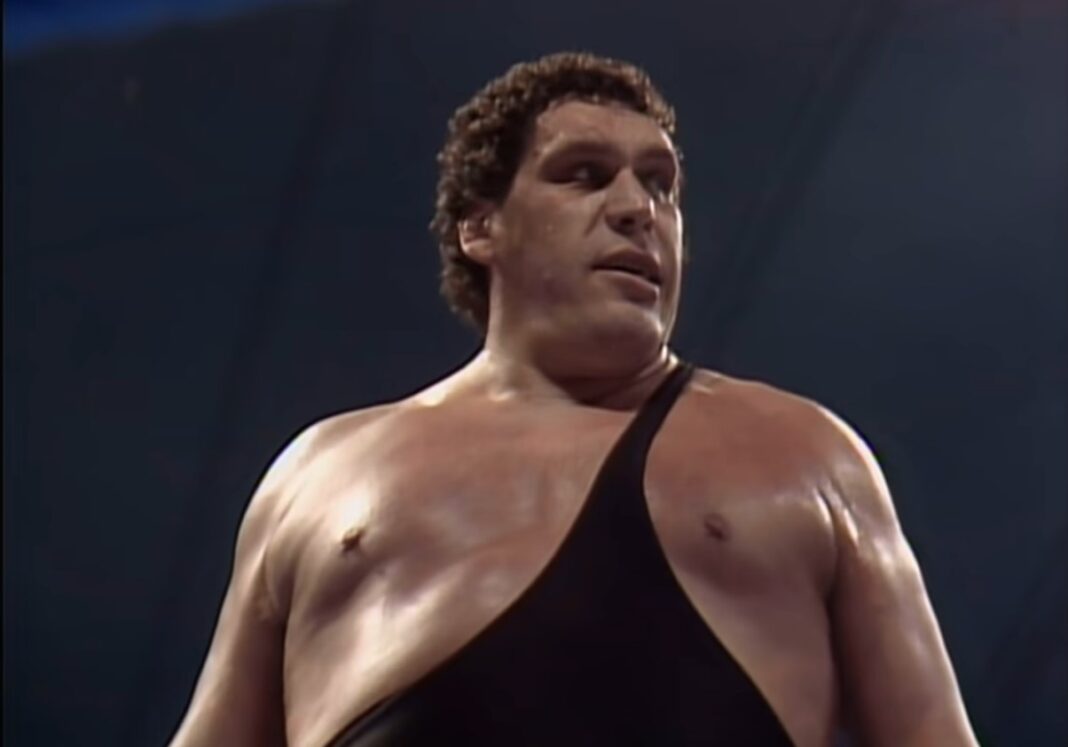 Who was Andre The Giant’s Wife? Know All About Jean Christensen