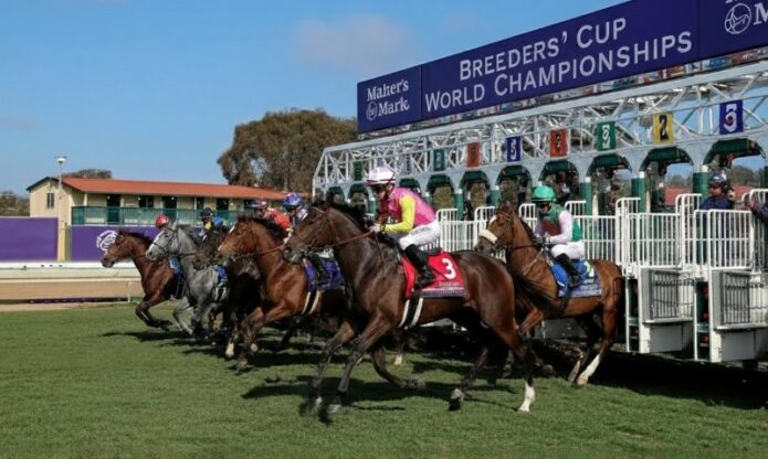 Breeders’ Cup 2025: Full Schedule, Top Horses, Race Dates, and What to Expect from the Championship Weekend
